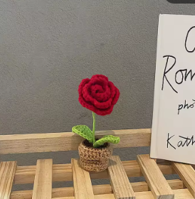 Crochet Flower Pots