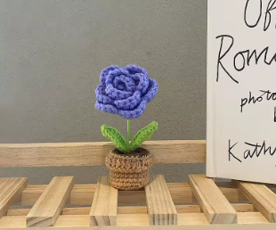 Crochet Flower Pots